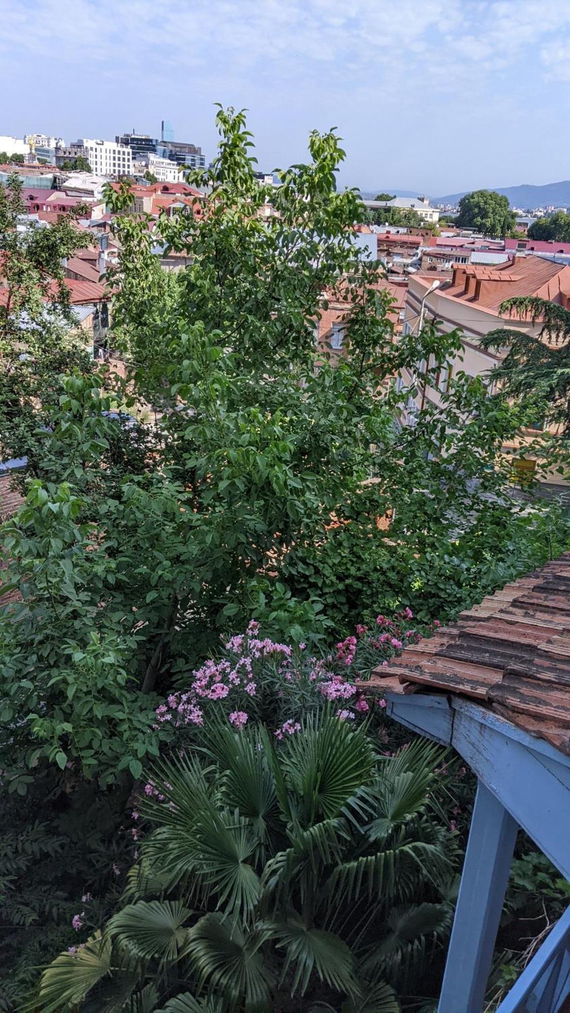 Hotel Kalanga Tiflis Oda fotoğraf